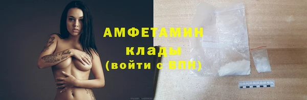 твердый Абаза