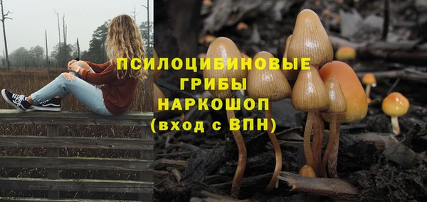твердый Абаза