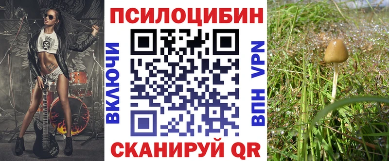 где можно купить наркотик  Ува  Псилоцибиновые грибы MAGIC MUSHROOMS 
